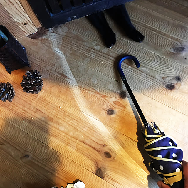 neko-2.2.2runmuさんの実例写真