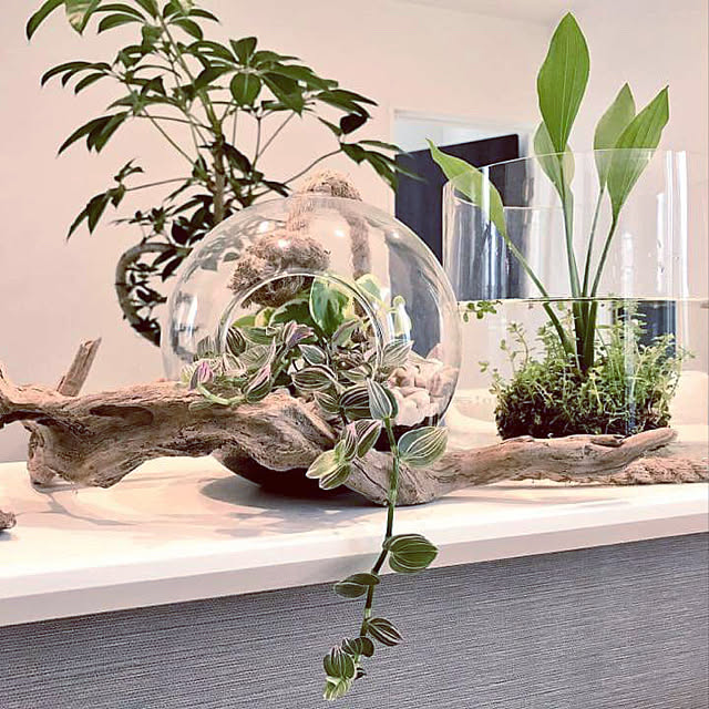 hachiさんの実例写真