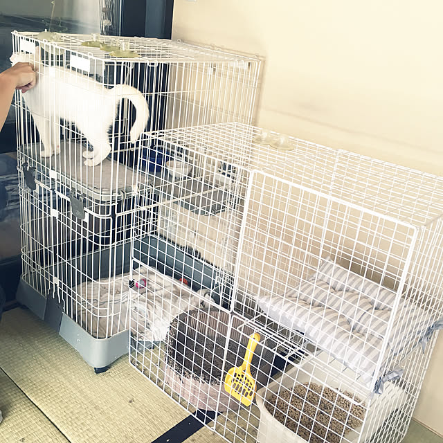 Yukinekoさんの実例写真
