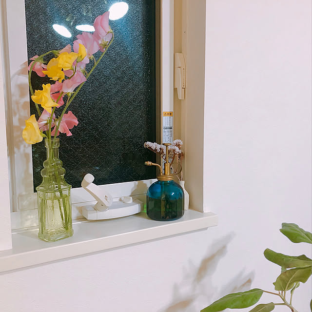 nananapikoさんの実例写真