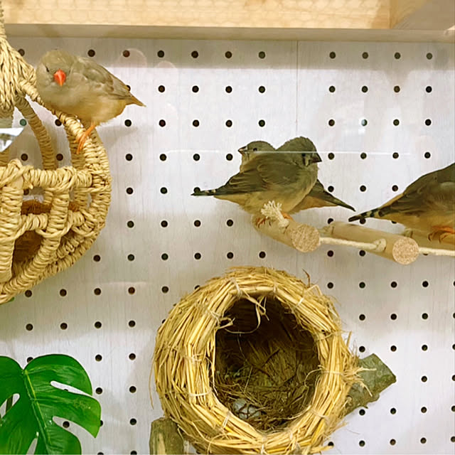 HappyRoseさんの実例写真