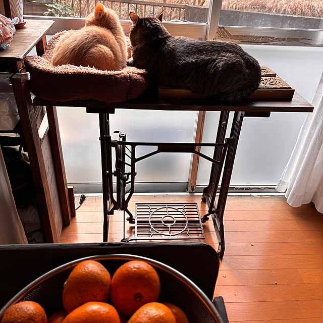 mikan161さんの実例写真