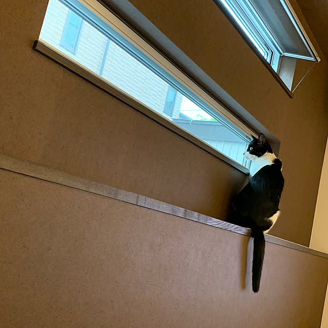 32mameさんの実例写真