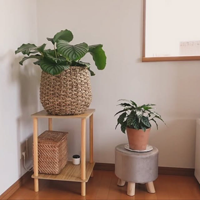 HelloKitchenさんの部屋