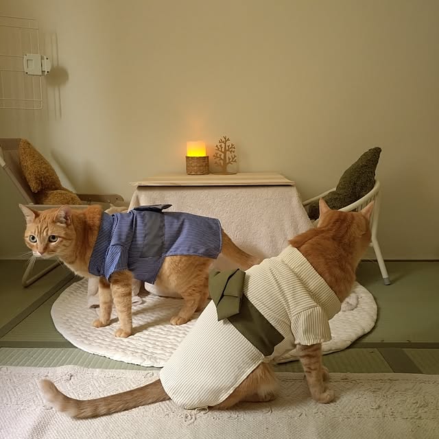 mayutan.さんの部屋