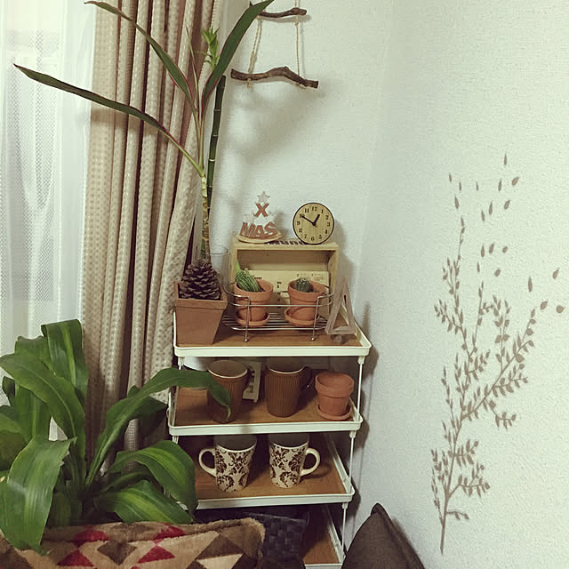 yomiyomiさんの実例写真