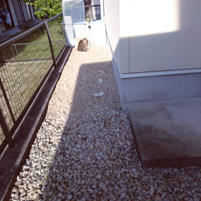 lilyさんの実例写真