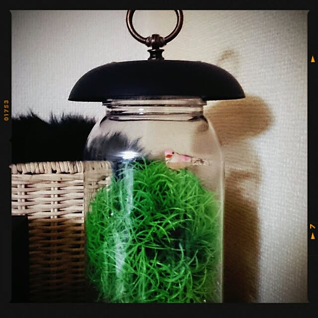 OBTERNIR88filerさんの実例写真