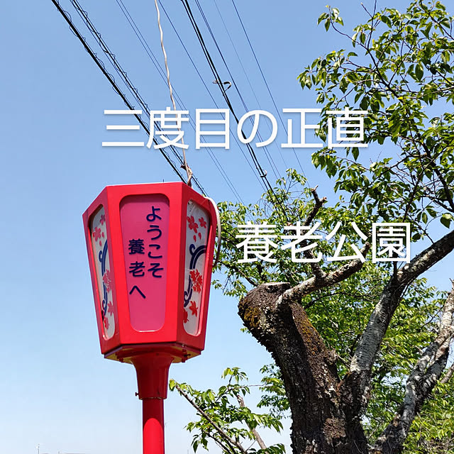 YUKOさんの実例写真