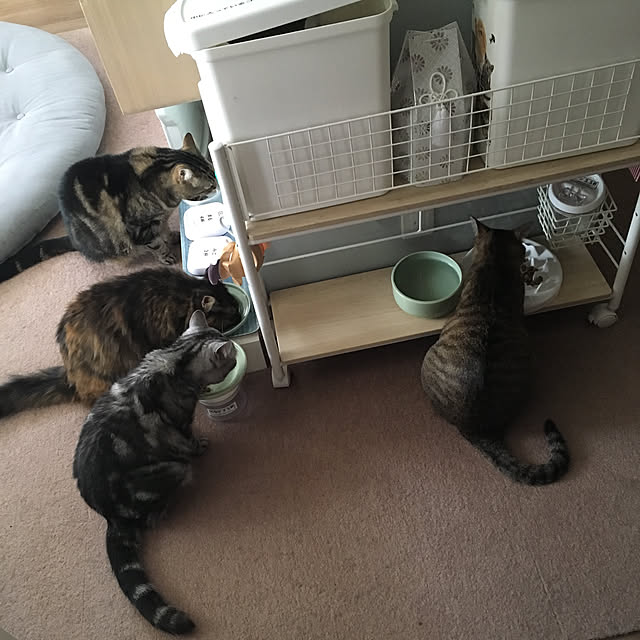 mikomaruさんの実例写真