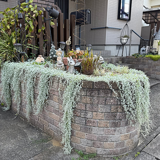 yumirilさんの部屋