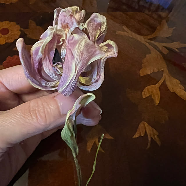 AYUKOさんの実例写真