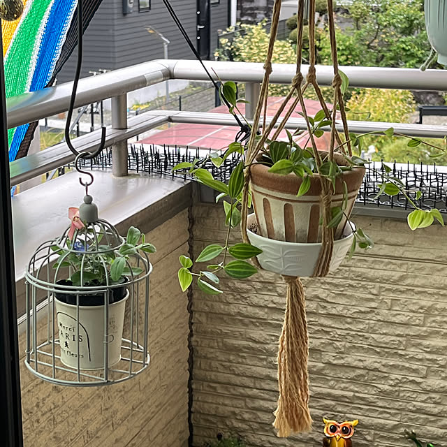 Toyomiさんの部屋