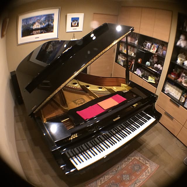 Mixさんの実例写真