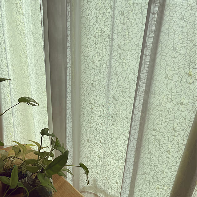 Eriさんの実例写真