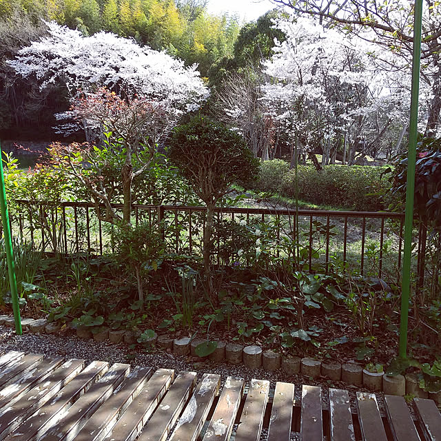 tsuncoricoさんの実例写真