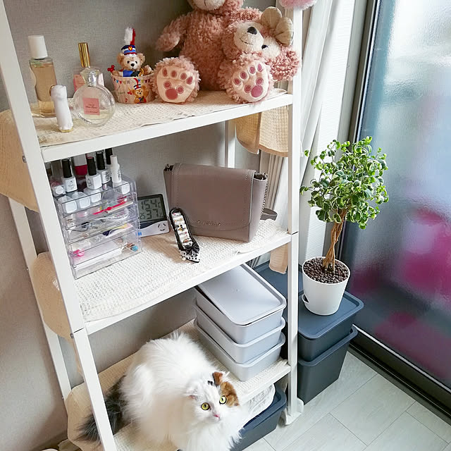 muuさんの実例写真