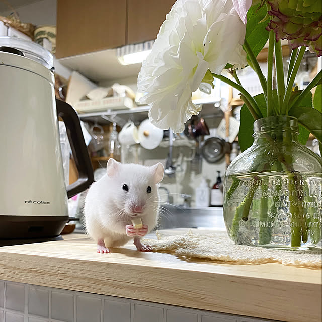emiさんの実例写真