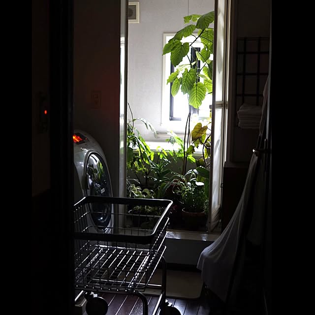 jnkaiさんの実例写真