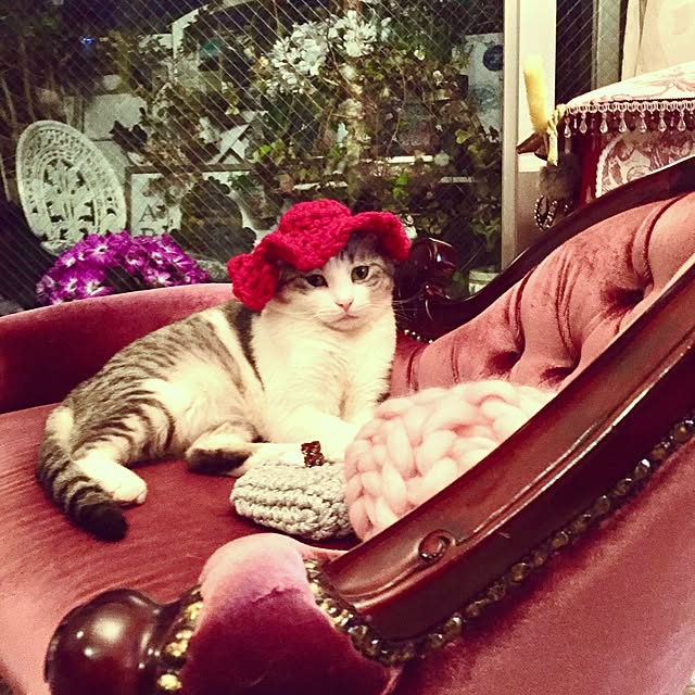 emmyyさんの実例写真