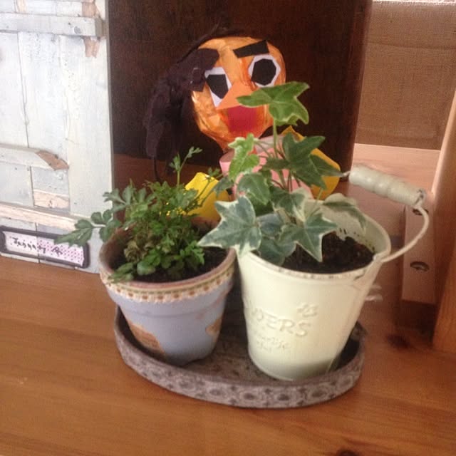 izuhanさんの実例写真