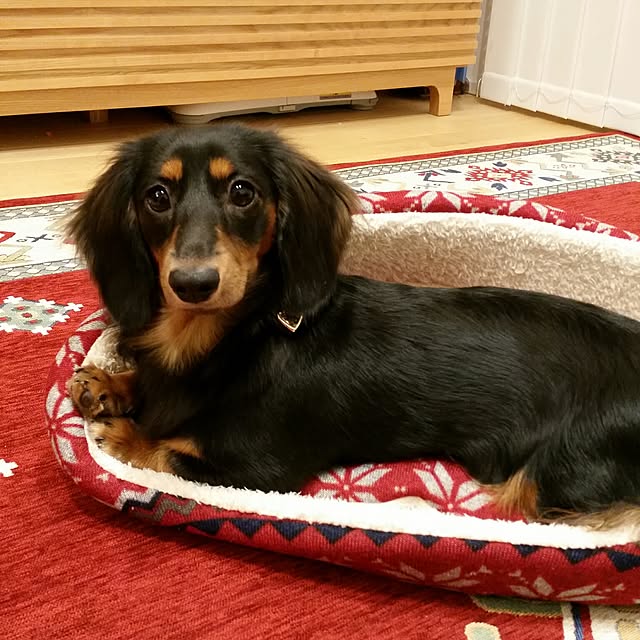 vickyさんの実例写真