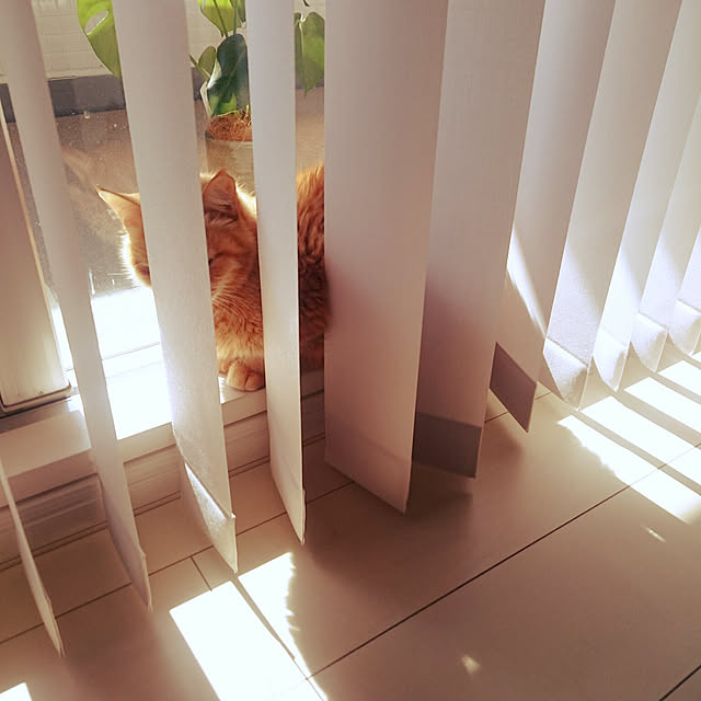 hanacocoさんの実例写真