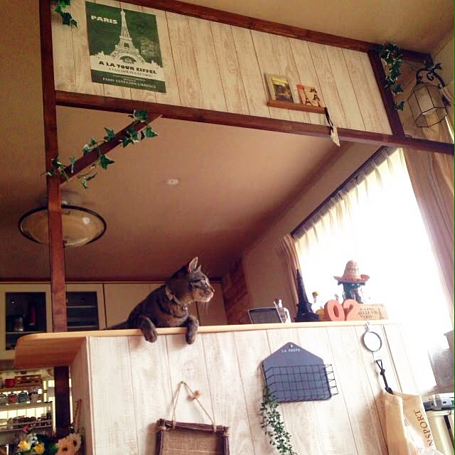 maibuさんの実例写真