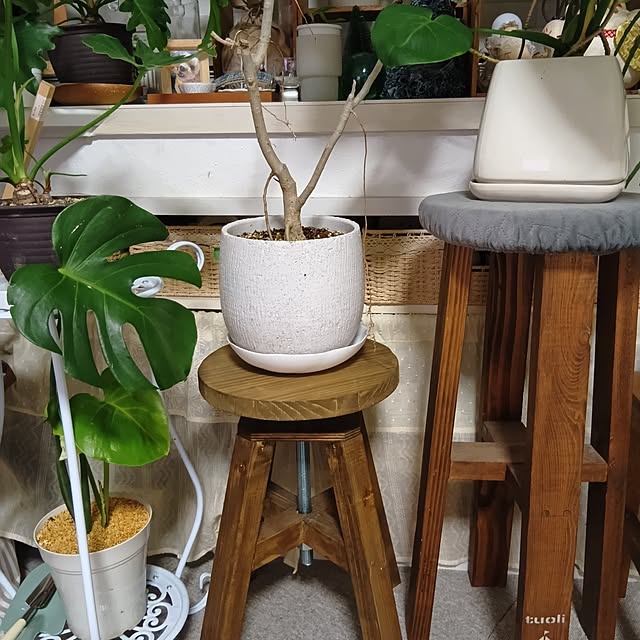 tomomiさんの部屋