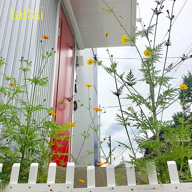 taitaiさんの実例写真