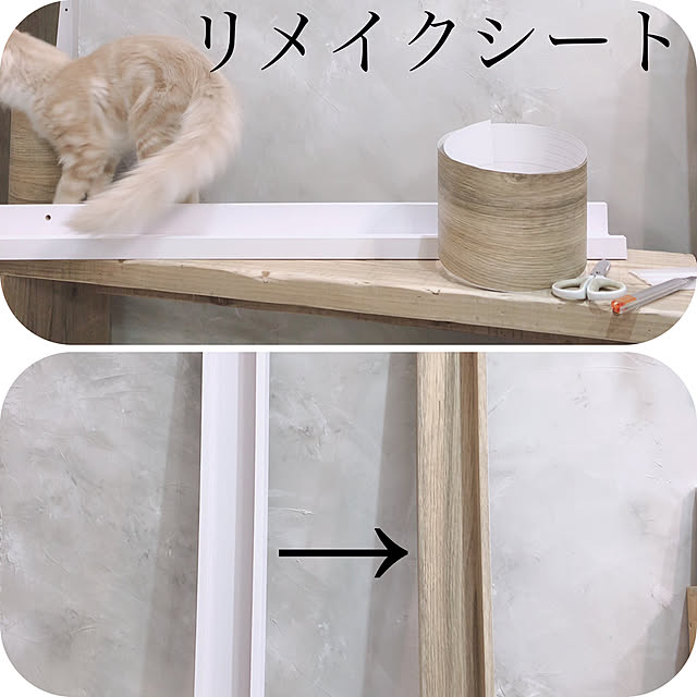 ch172さんの実例写真