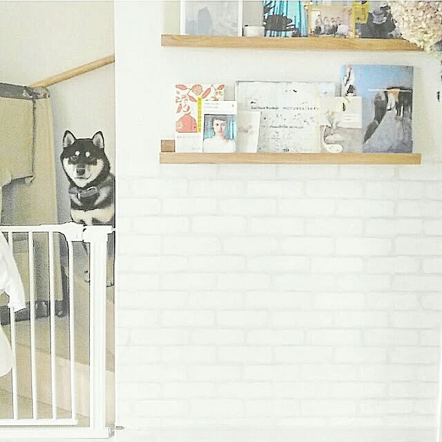 mayuさんの実例写真