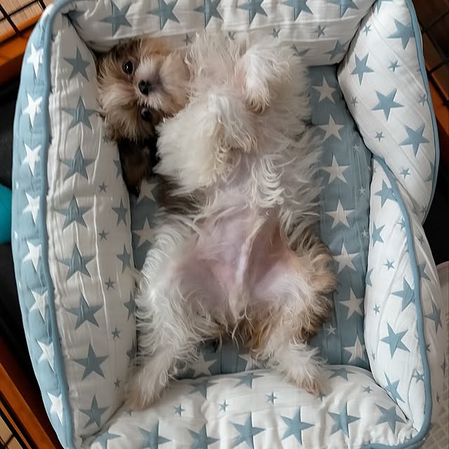 maryさんの実例写真
