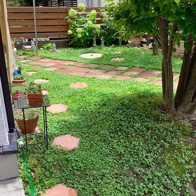 haruminさんの部屋