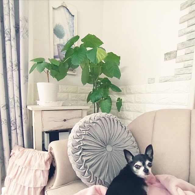Bienvenueさんの実例写真