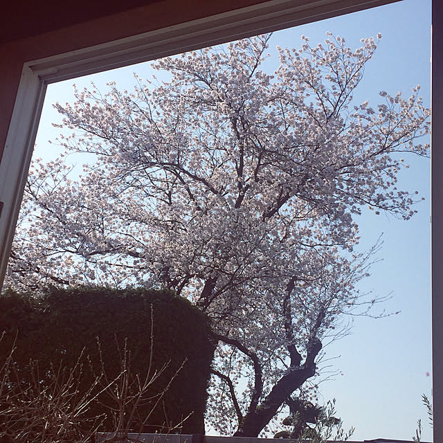 RENKAさんの実例写真
