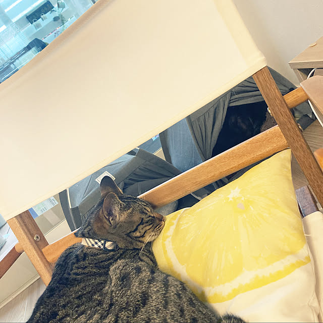 masamasaさんの実例写真