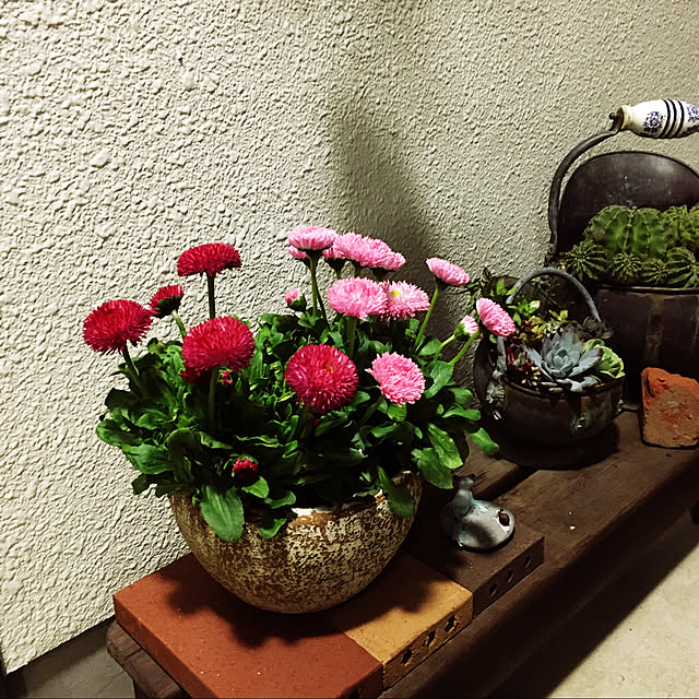 rabiさんの実例写真