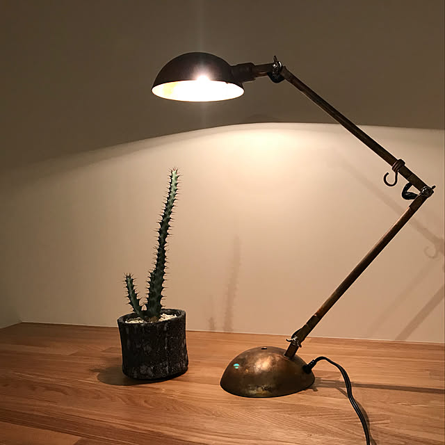 Y.Uniさんの実例写真
