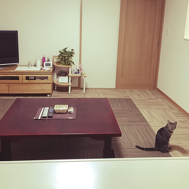 sakuraさんの実例写真