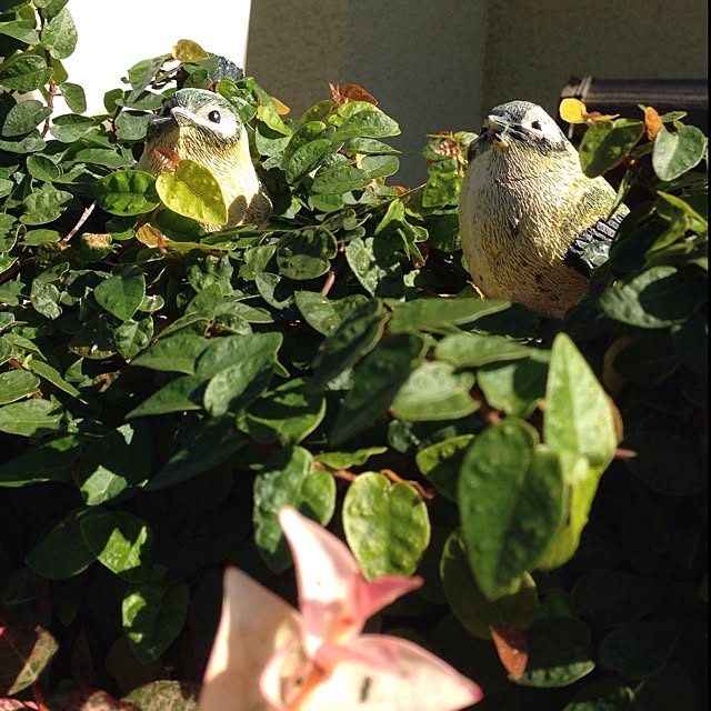 hi_iroさんの実例写真