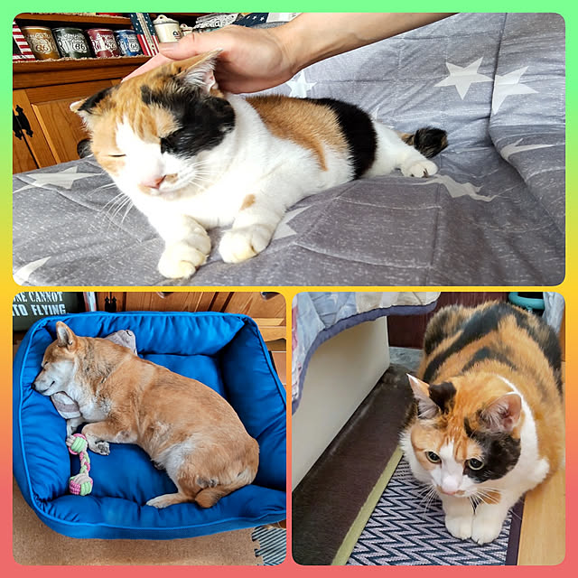 nanaさんの実例写真