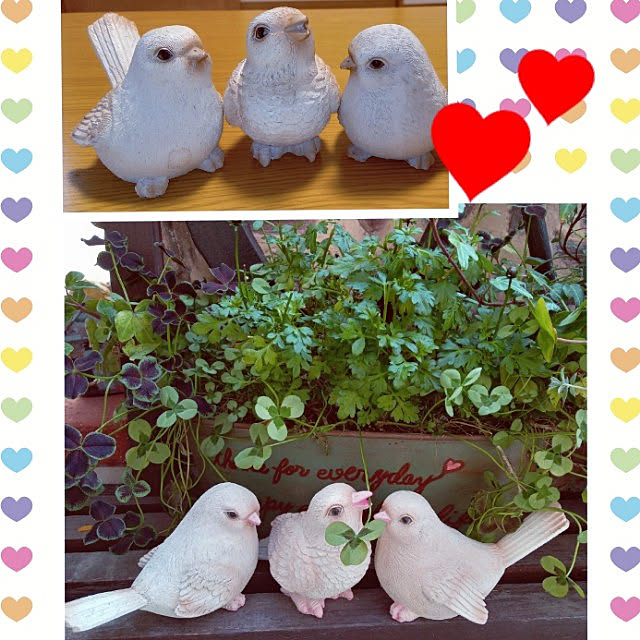 mocomocoさんの実例写真