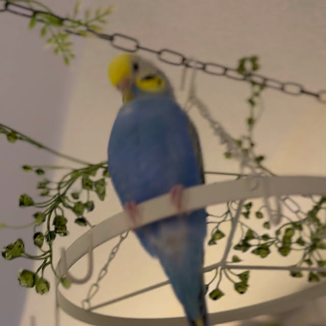Atsukoさんの部屋