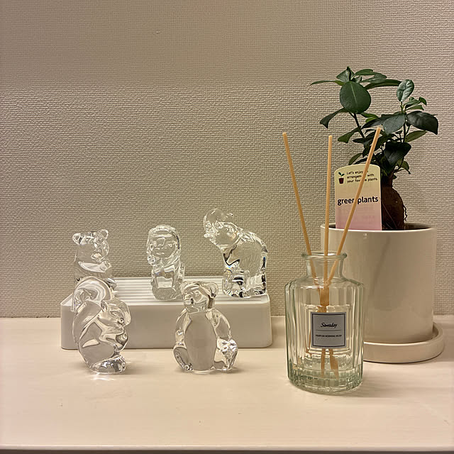 Aoiさんの実例写真