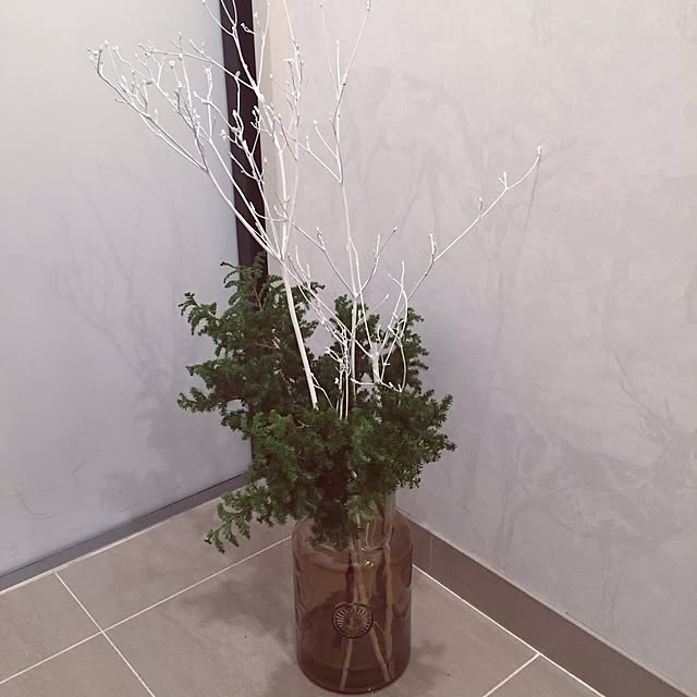 shihoさんの実例写真