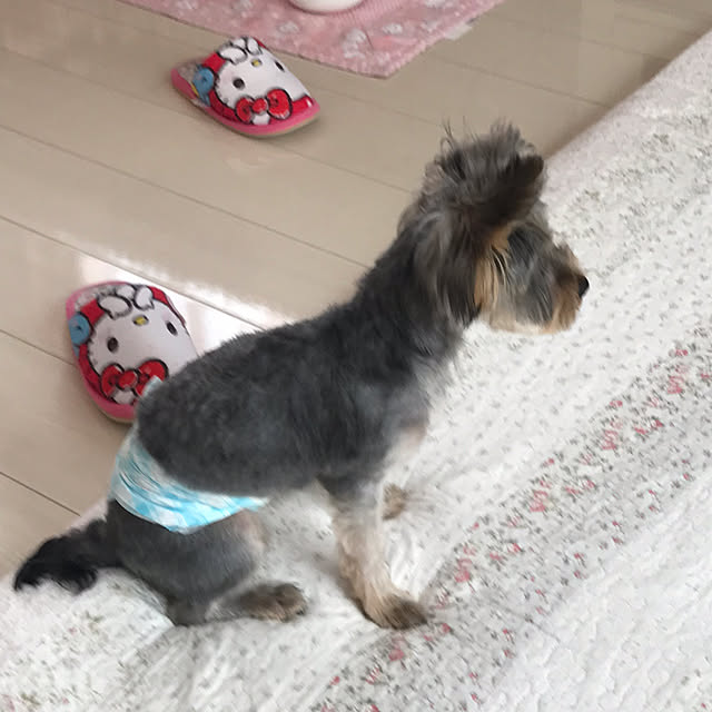 marikoさんの部屋