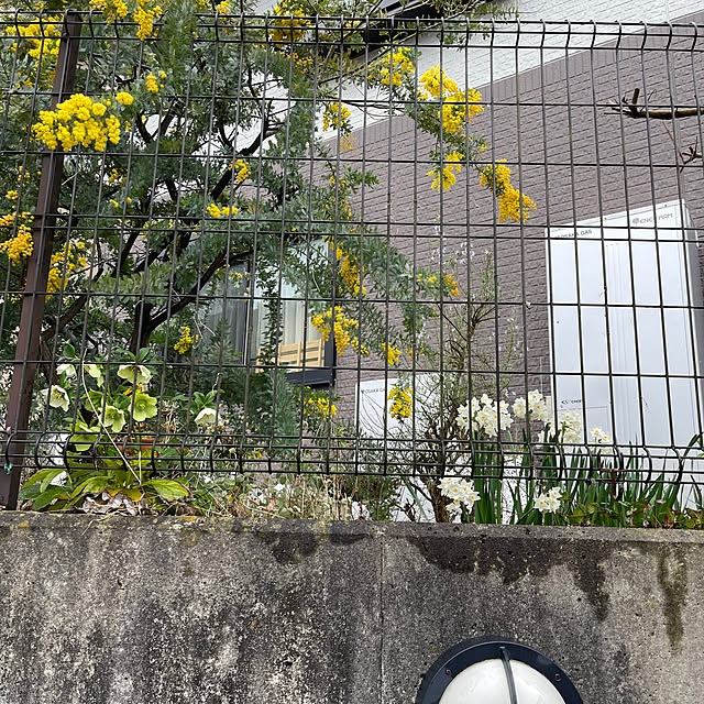 kikiさんの部屋