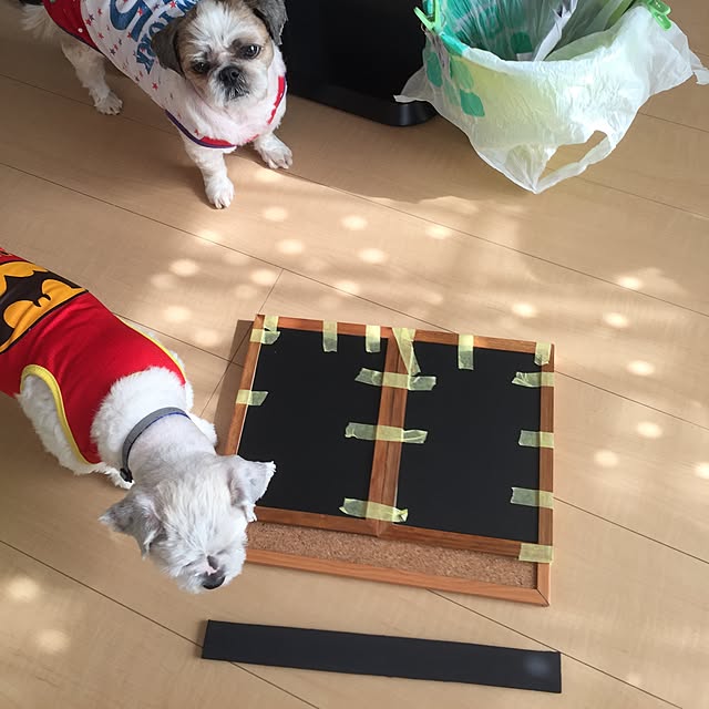emiさんの実例写真