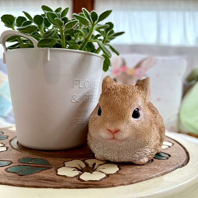 nako...さんの実例写真